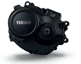 motor Yamaha PW-X
